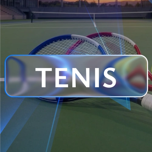 Apuesta en vivo y prematch en los torneos de Grand Slam y del circuito profesional de tenis con 1win.